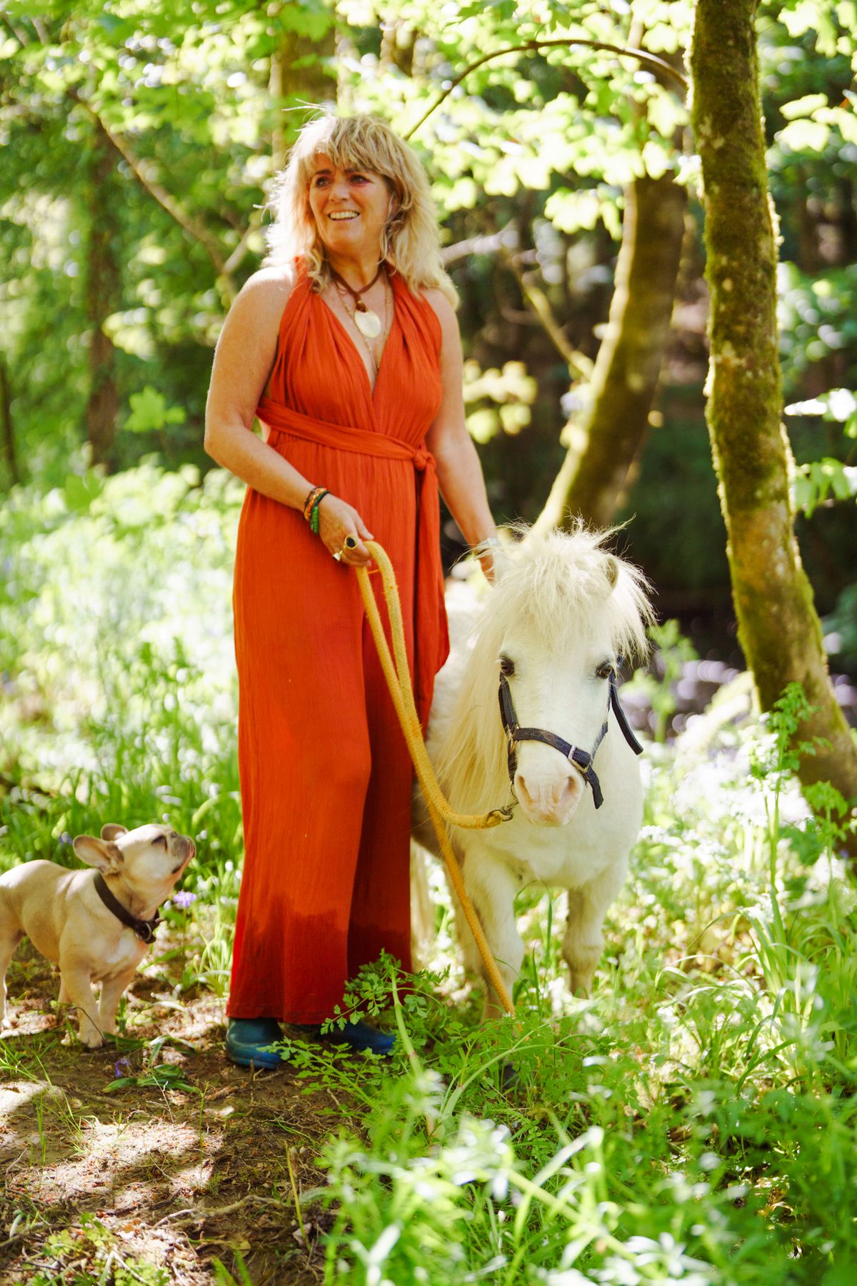 A white pony standing on a woodland path