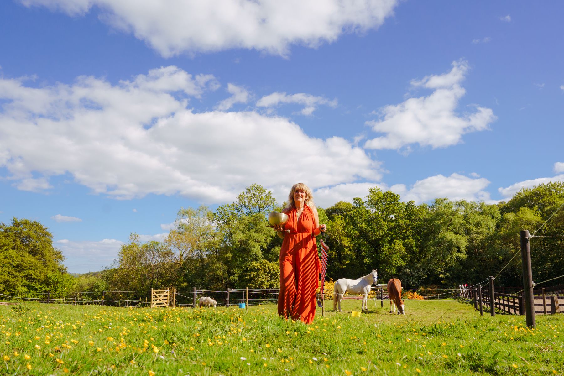 Carolyn standing in an open paddock beneath a wide Irish sky, horses grazing behind her