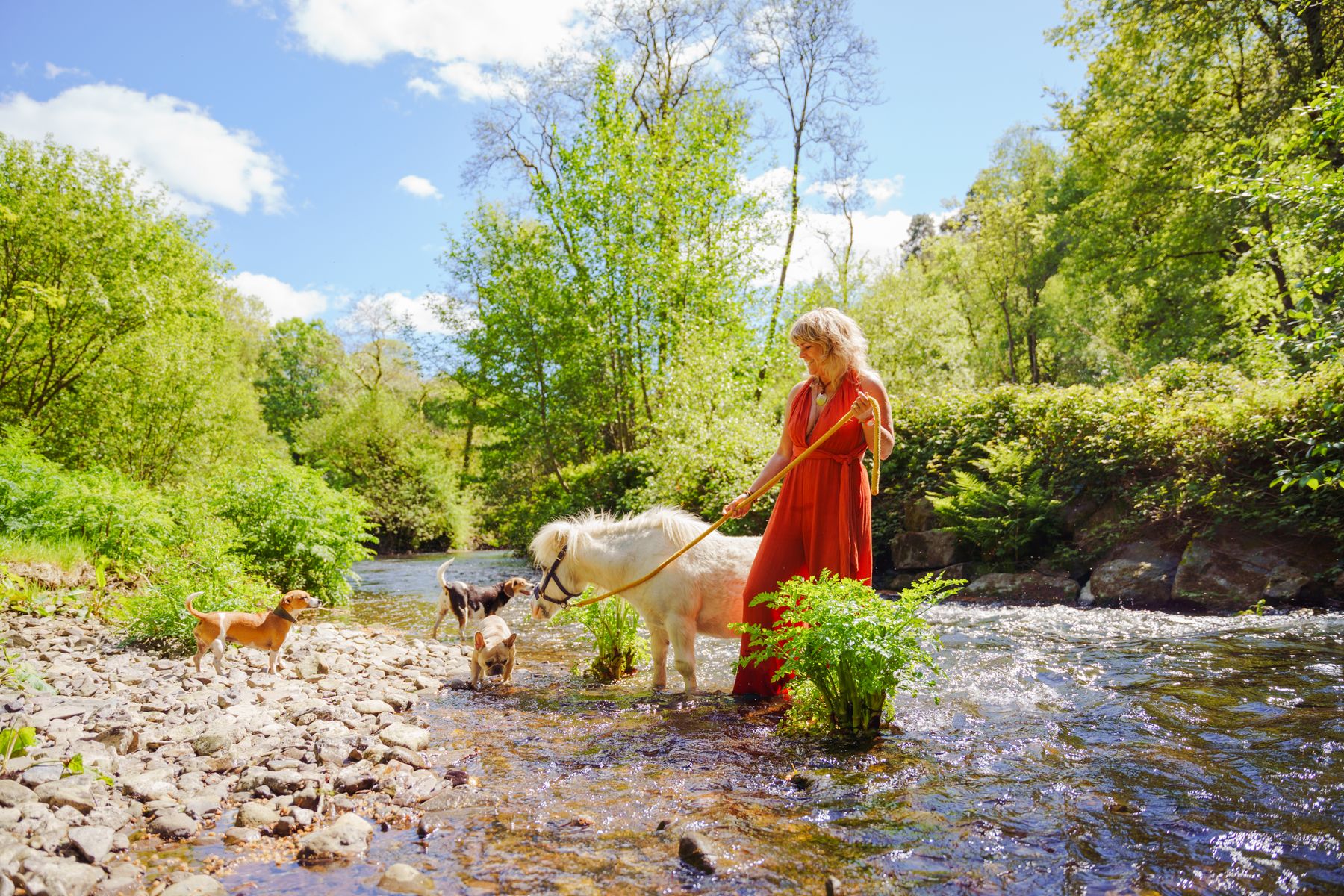 Carolyn leading a white pony across a shallow river between green banks