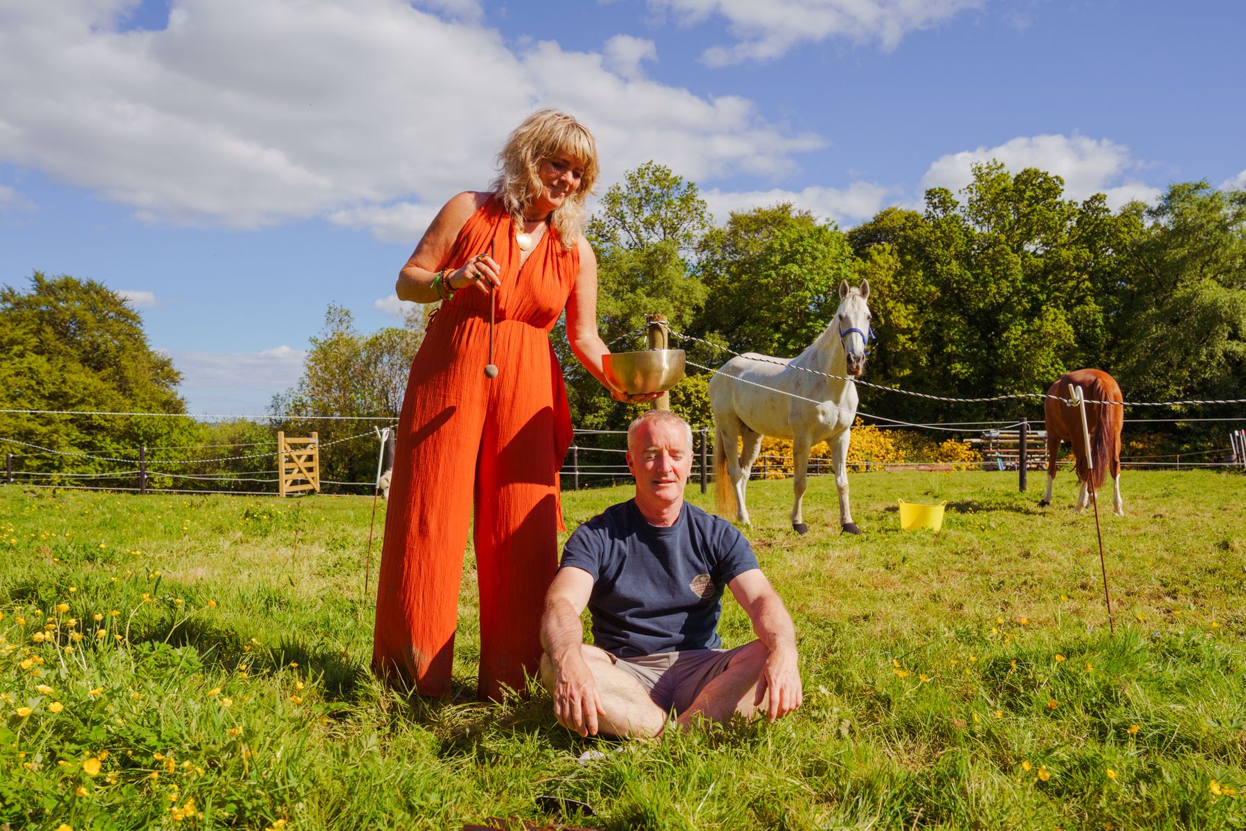 Carolyn working with a seated client in the paddock as horses graze nearby