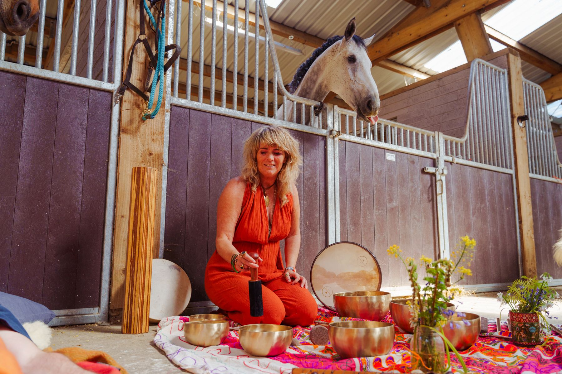 A horse watching a sound bath from its stall