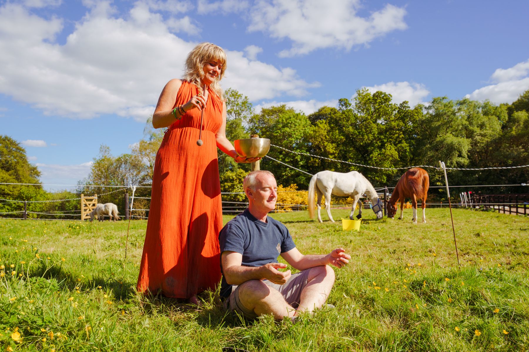 A client sitting on the grass while Carolyn stands with a horse in the open field